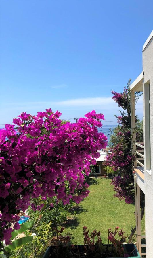 Hotel Jon ديرمي المظهر الخارجي الصورة