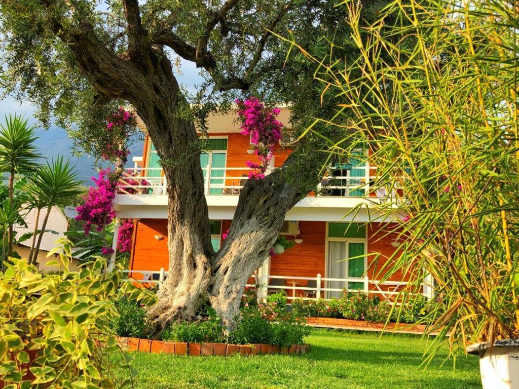 Hotel Jon ديرمي المظهر الخارجي الصورة