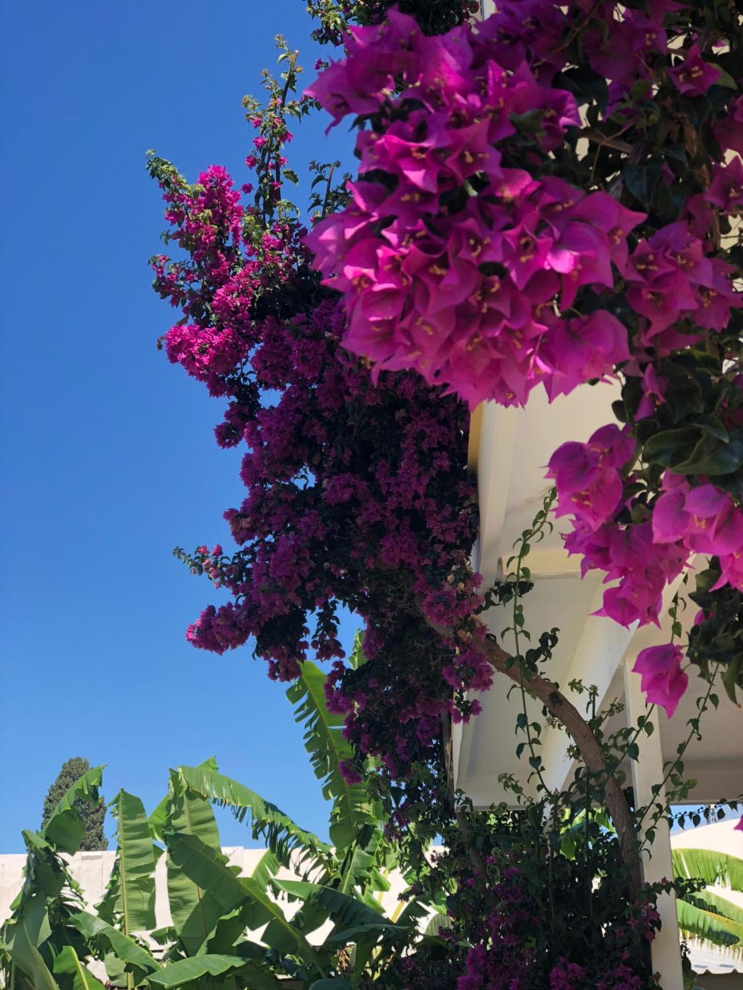 Hotel Jon ديرمي المظهر الخارجي الصورة