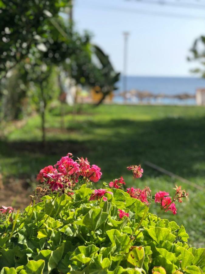 Hotel Jon ديرمي المظهر الخارجي الصورة