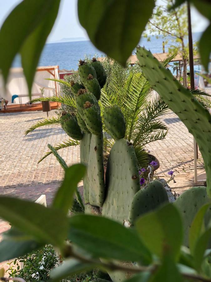 Hotel Jon ديرمي المظهر الخارجي الصورة